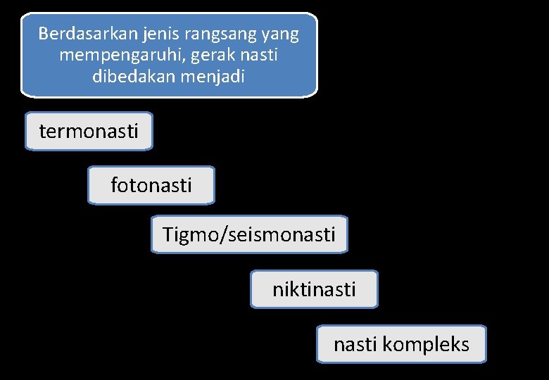 Berdasarkan jenis rangsang yang mempengaruhi, gerak nasti dibedakan menjadi termonasti fotonasti Tigmo/seismonasti niktinasti kompleks