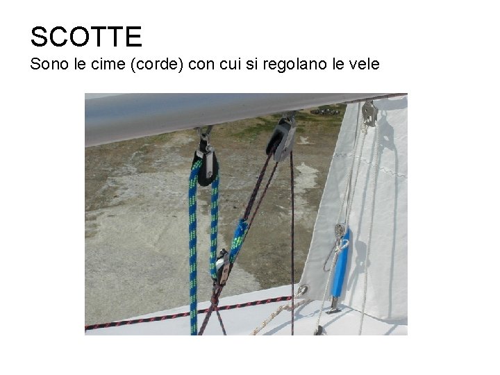 SCOTTE Sono le cime (corde) con cui si regolano le vele 