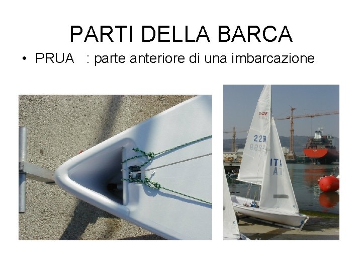 PARTI DELLA BARCA • PRUA : parte anteriore di una imbarcazione 