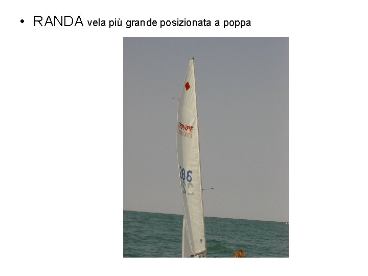  • RANDA vela più grande posizionata a poppa 