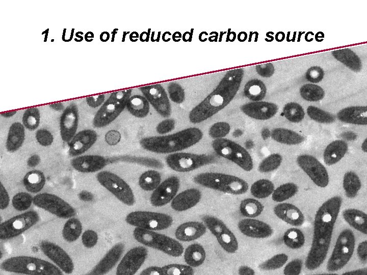 1. Use of reduced carbon source 