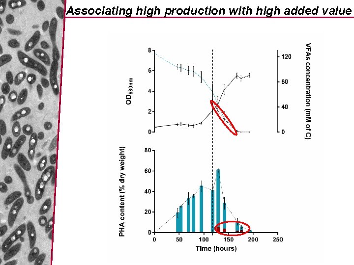 Associating high production with high added value 