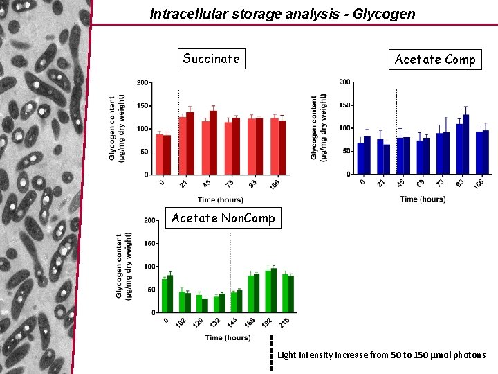 Intracellular storage analysis - Glycogen Succinate Acetate Comp Acetate Non. Comp Light intensity increase
