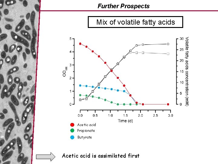 Further Prospects Mix of volatile fatty acids Acetic acid Propionate Butyrate Acetic acid is