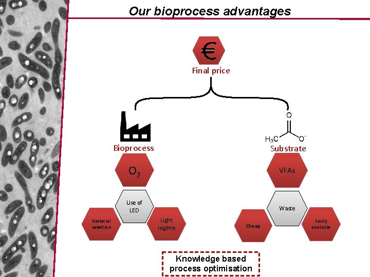 Our bioprocess advantages Final price Bacterial selection Bioprocess Substrate O 2 VFAs Use of