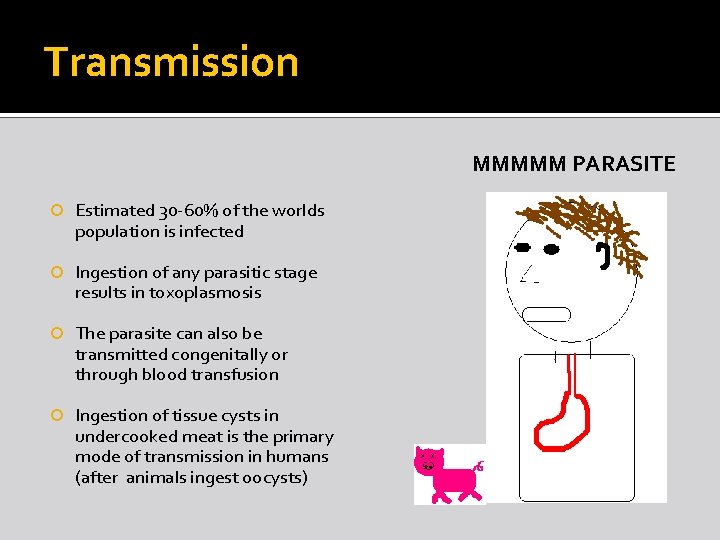 Transmission MMMMM PARASITE Estimated 30 -60% of the worlds population is infected Ingestion of