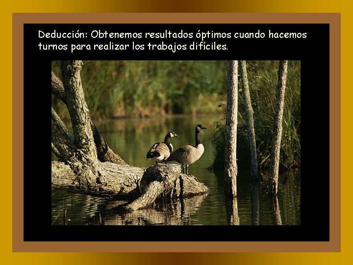Deducción: Obtenemos resultados óptimos cuando hacemos turnos para realizar los trabajos difíciles. 