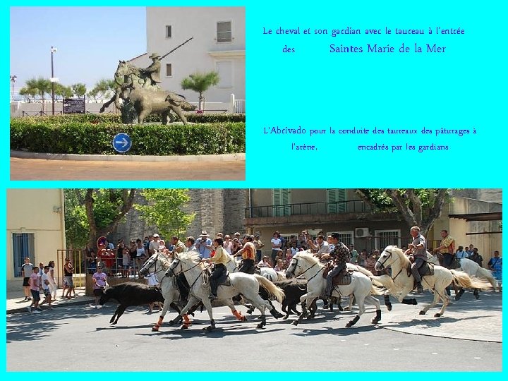 Le cheval et son gardian avec le taureau à l’entrée des Saintes Marie de