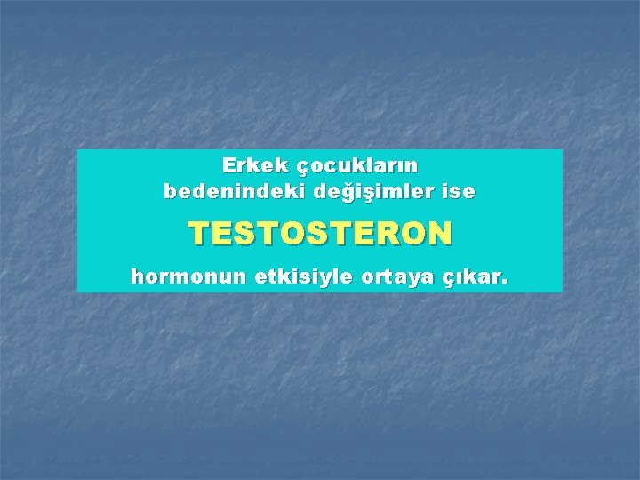 Erkek çocukların bedenindeki değişimler ise TESTOSTERON hormonun etkisiyle ortaya çıkar. 
