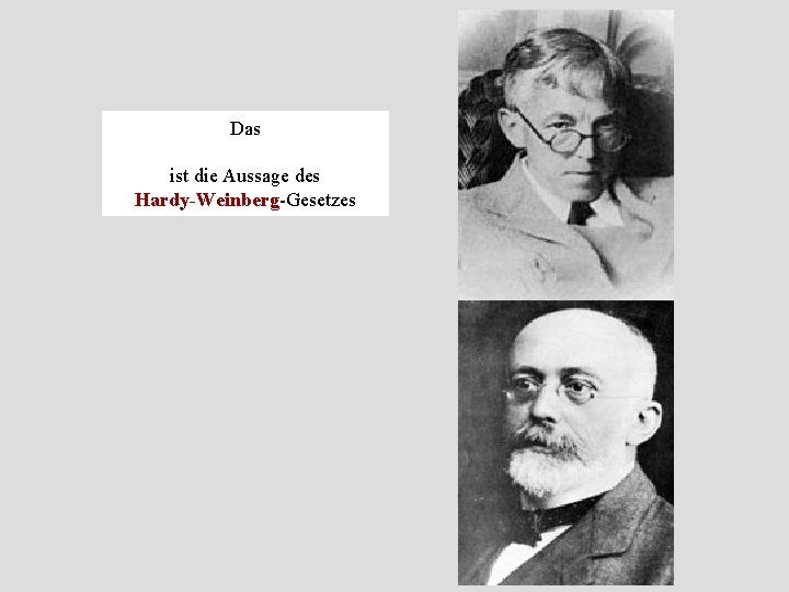 Das ist die Aussage des Hardy Weinberg Gesetzes 