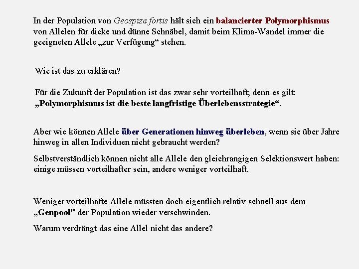 In der Population von Geospiza fortis hält sich ein balancierter Polymorphismus von Allelen für