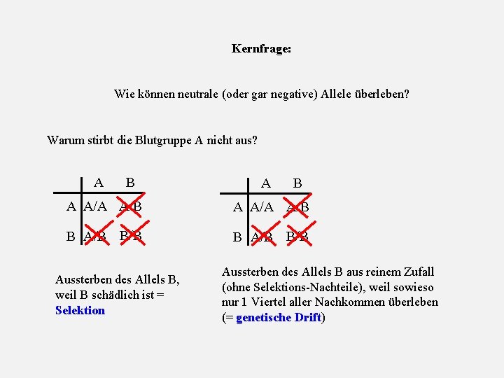 Kernfrage: Wie können neutrale (oder gar negative) Allele überleben? Warum stirbt die Blutgruppe A