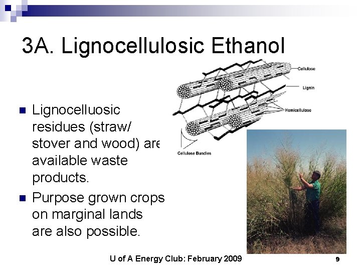 3 A. Lignocellulosic Ethanol n n Lignocelluosic residues (straw/ stover and wood) are available