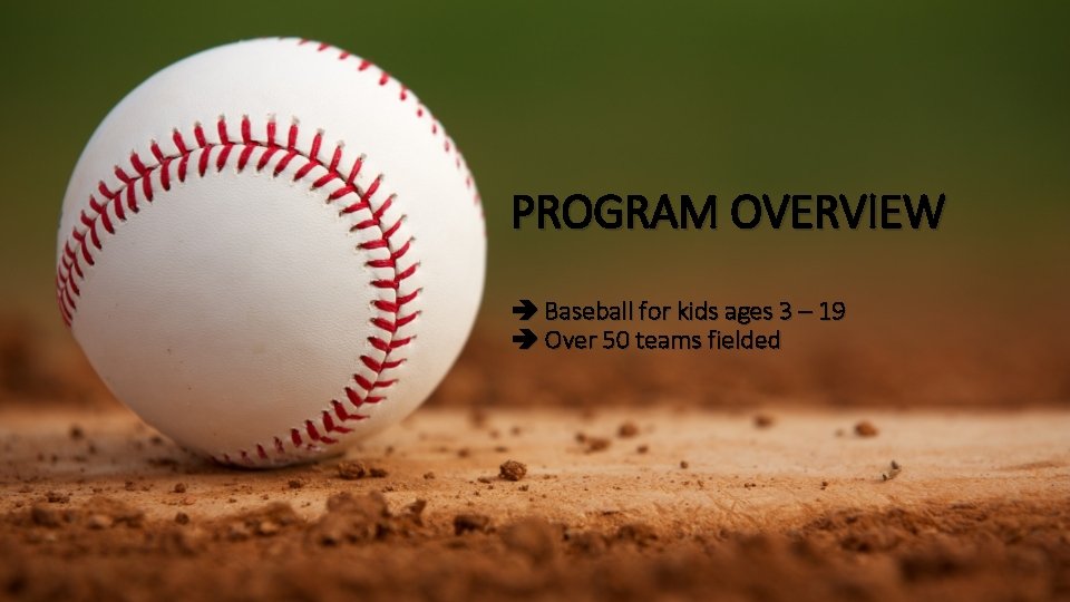 PROGRAM OVERVIEW Baseball for kids ages 3 – 19 Over 50 teams fielded 
