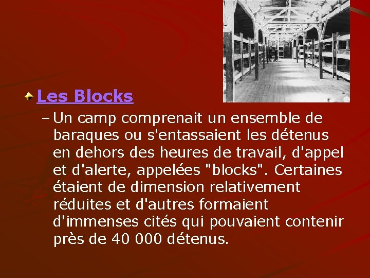 Les Blocks – Un camp comprenait un ensemble de baraques ou s'entassaient les détenus