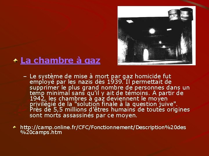 La chambre à gaz – Le système de mise à mort par gaz homicide