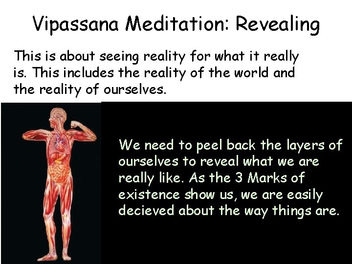 Vipassana Meditation: Revealing This is about seeing reality for what it really is. This