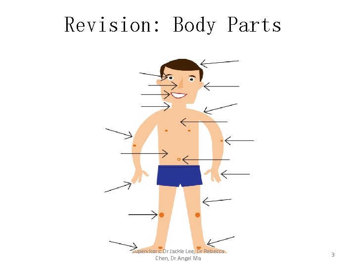 Revision: Body Parts Supervisors: Dr Jackie Lee, Dr Rebecca Chen, Dr Angel Ma 3