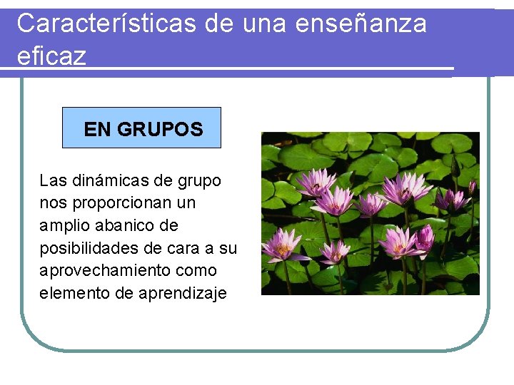 Características de una enseñanza eficaz EN GRUPOS Las dinámicas de grupo nos proporcionan un