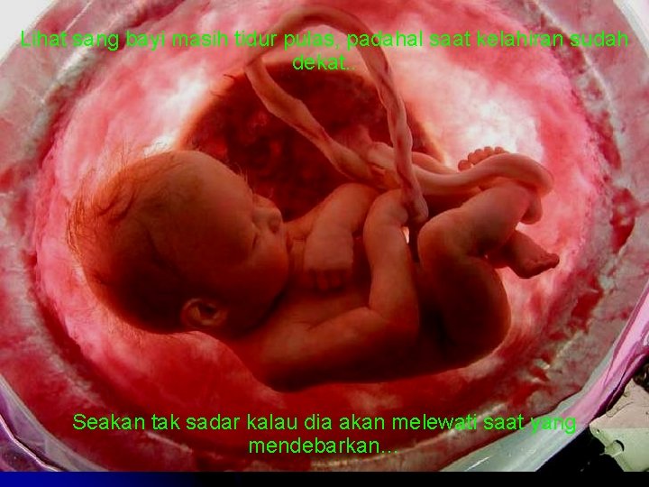 Lihat sang bayi masih tidur pulas, padahal saat kelahiran sudah dekat. . Seakan tak