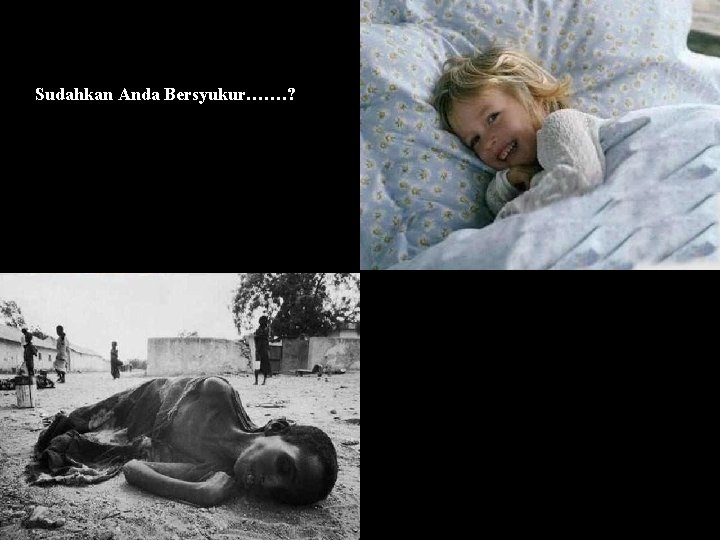 Sudahkan Anda Bersyukur……. ? 