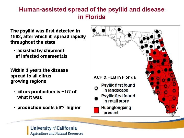 Human-assisted spread of the psyllid and disease in Florida The psyllid was first detected
