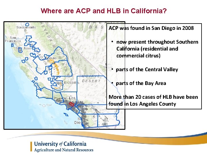 Where are ACP and HLB in California? ACP was found in San Diego in