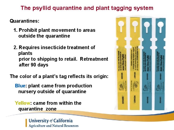 The psyllid quarantine and plant tagging system Quarantines: 1. Prohibit plant movement to areas