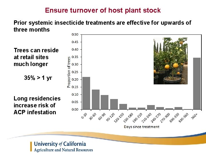 Ensure turnover of host plant stock Prior systemic insecticide treatments are effective for upwards