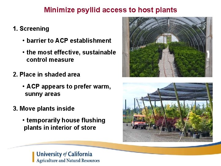 Minimize psyllid access to host plants 1. Screening • barrier to ACP establishment •