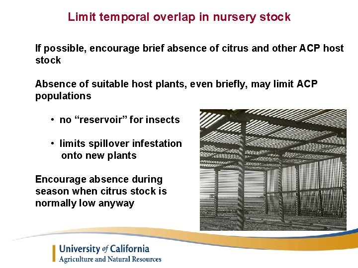 Limit temporal overlap in nursery stock If possible, encourage brief absence of citrus and