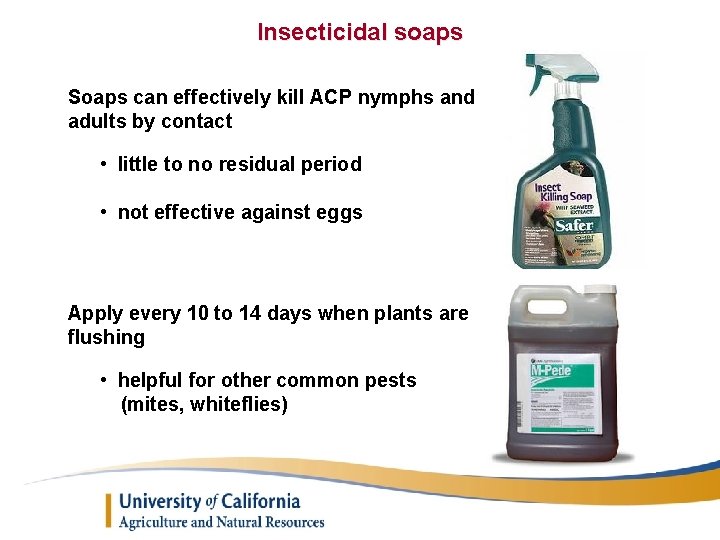 Insecticidal soaps Soaps can effectively kill ACP nymphs and adults by contact • little