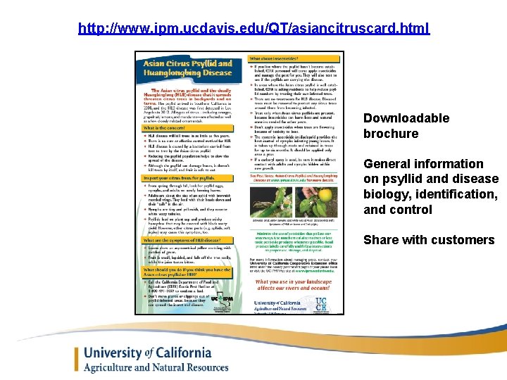 http: //www. ipm. ucdavis. edu/QT/asiancitruscard. html Downloadable brochure General information on psyllid and disease