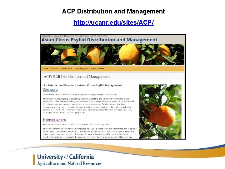 ACP Distribution and Management http: //ucanr. edu/sites/ACP/ 