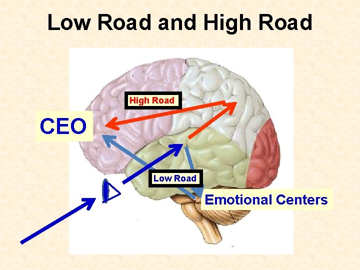 Low Road and High Road CEO Low Road Emotional Centers 
