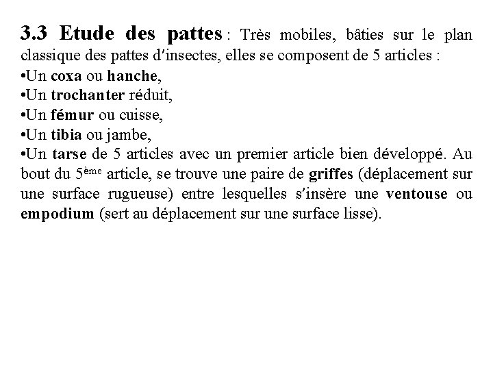 3. 3 Etude des pattes : Très mobiles, bâties sur le plan classique des
