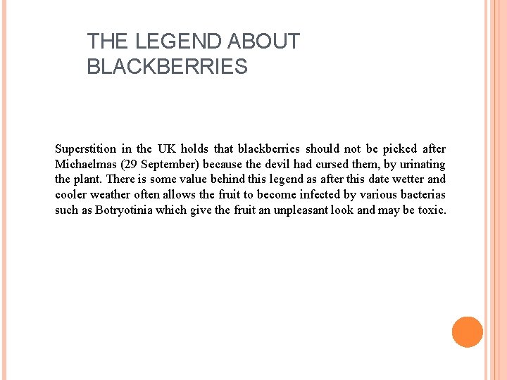 THE LEGEND ABOUT BLACKBERRIES Superstition in the UK holds that blackberries should not be