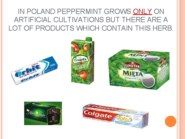 IN POLAND PEPPERMINT GROWS ONLY ON ARTIFICIAL CULTIVATIONS BUT THERE A LOT OF PRODUCTS