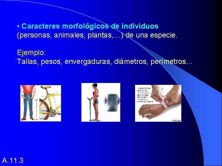  • Caracteres morfológicos de individuos (personas, animales, plantas, …) de una especie. Ejemplo: