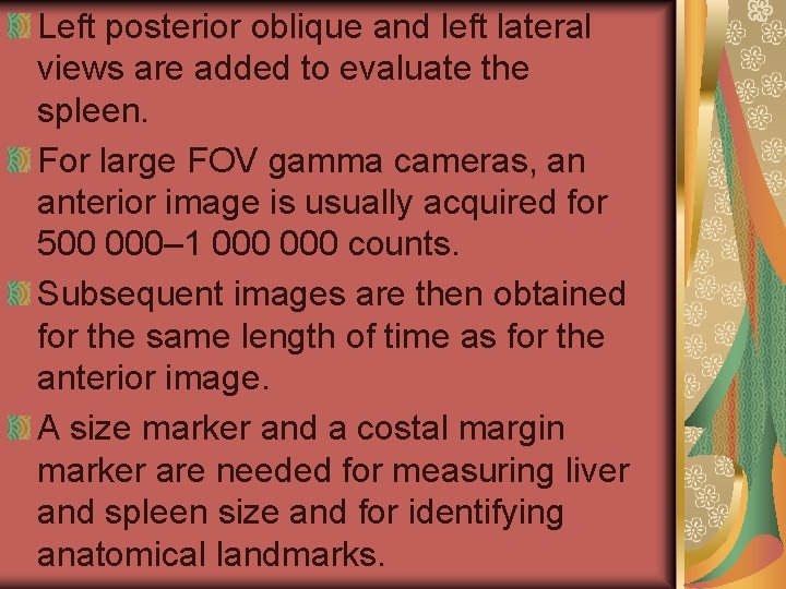 Left posterior oblique and left lateral views are added to evaluate the spleen. For