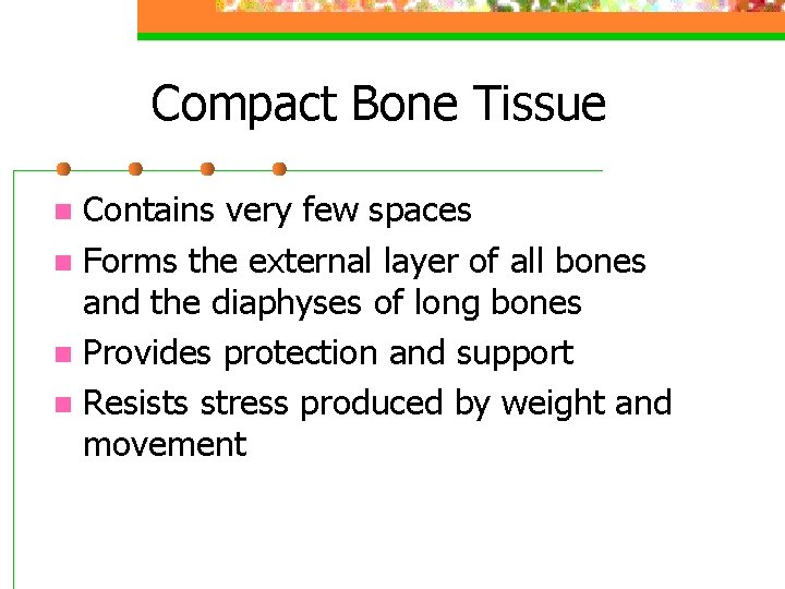 Compact Bone Tissue Contains very few spaces n Forms the external layer of all