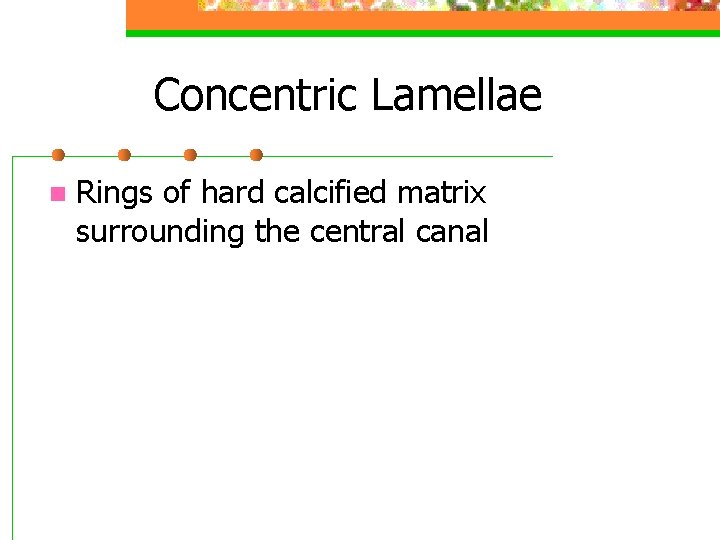 Concentric Lamellae n Rings of hard calcified matrix surrounding the central canal 