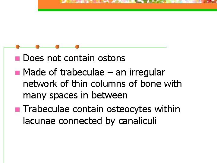Does not contain ostons n Made of trabeculae – an irregular network of thin