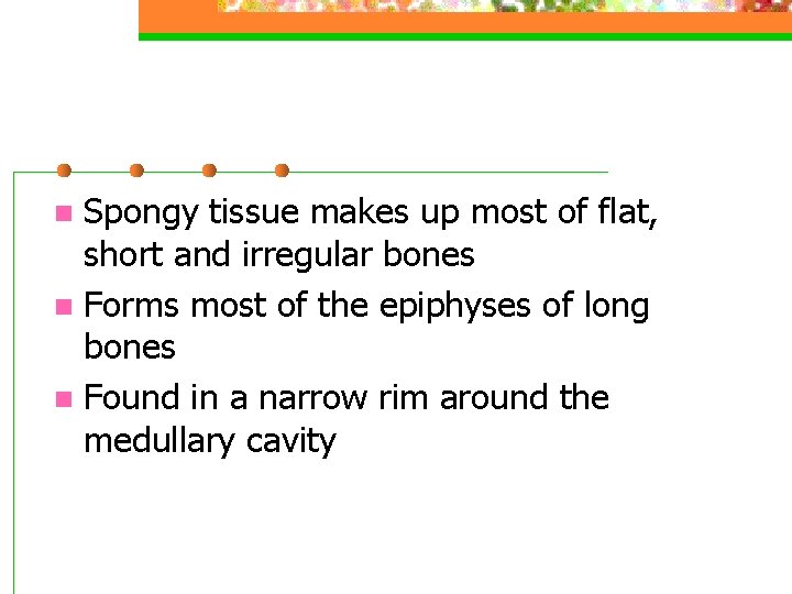 Spongy tissue makes up most of flat, short and irregular bones n Forms most