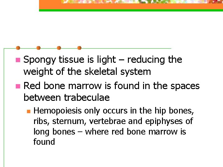 Spongy tissue is light – reducing the weight of the skeletal system n Red