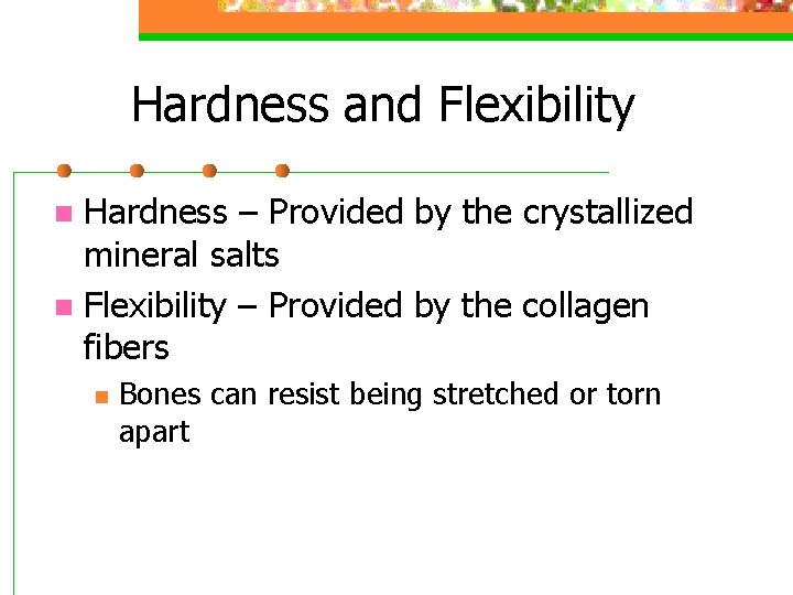 Hardness and Flexibility Hardness – Provided by the crystallized mineral salts n Flexibility –
