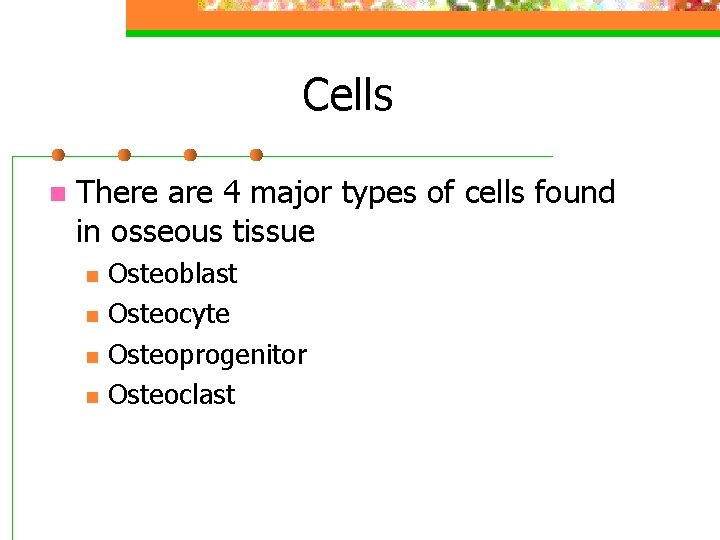 Cells n There are 4 major types of cells found in osseous tissue n