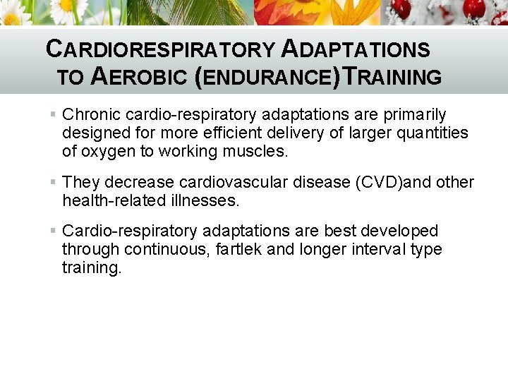 CARDIORESPIRATORY ADAPTATIONS TO AEROBIC (ENDURANCE) TRAINING § Chronic cardio-respiratory adaptations are primarily designed for