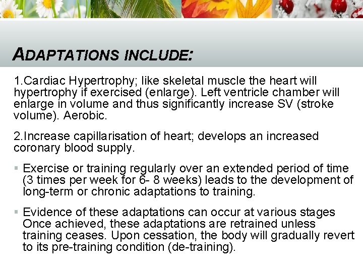 ADAPTATIONS INCLUDE: 1. Cardiac Hypertrophy; like skeletal muscle the heart will hypertrophy if exercised