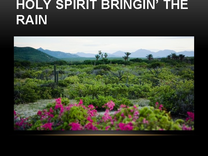 HOLY SPIRIT BRINGIN’ THE RAIN 